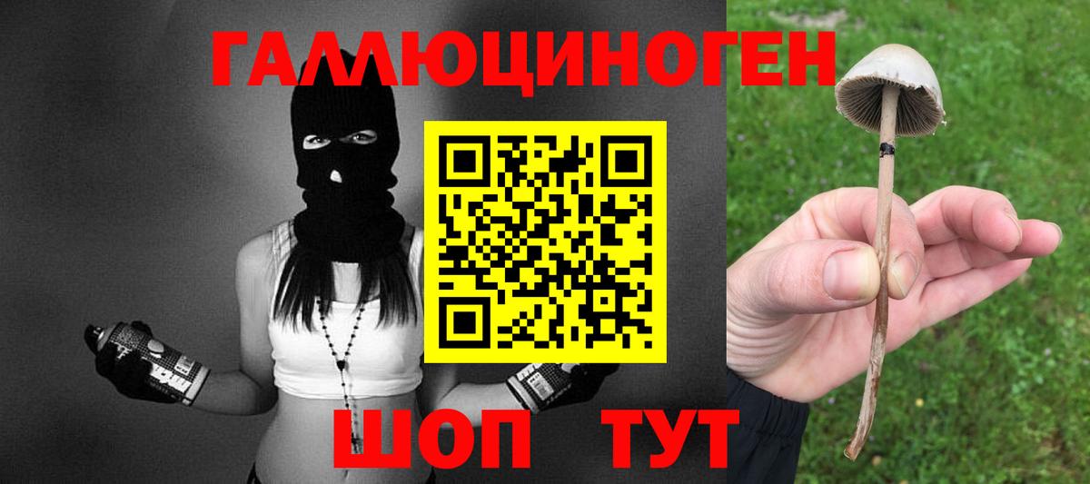 Мелеуз  Псилоцибиновые грибы Psilocybine cubensis  где купить наркотик  Вход с VPN  Галлюциногенные грибы Psilocybine cubensis 